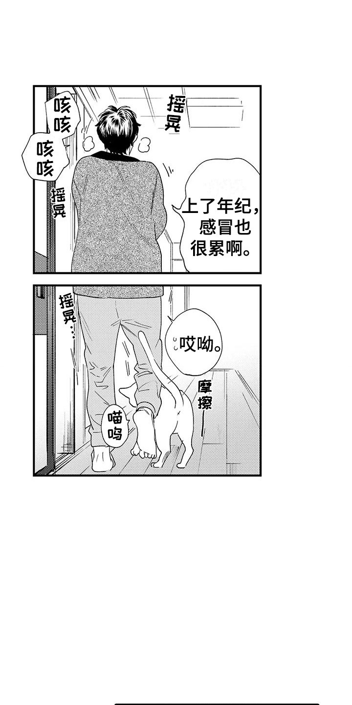 第17章：响声6
