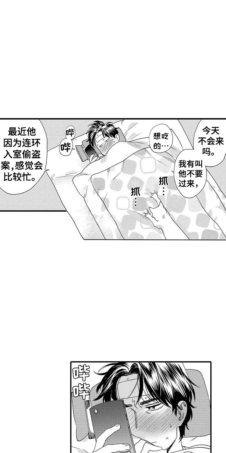 第17章：响声3