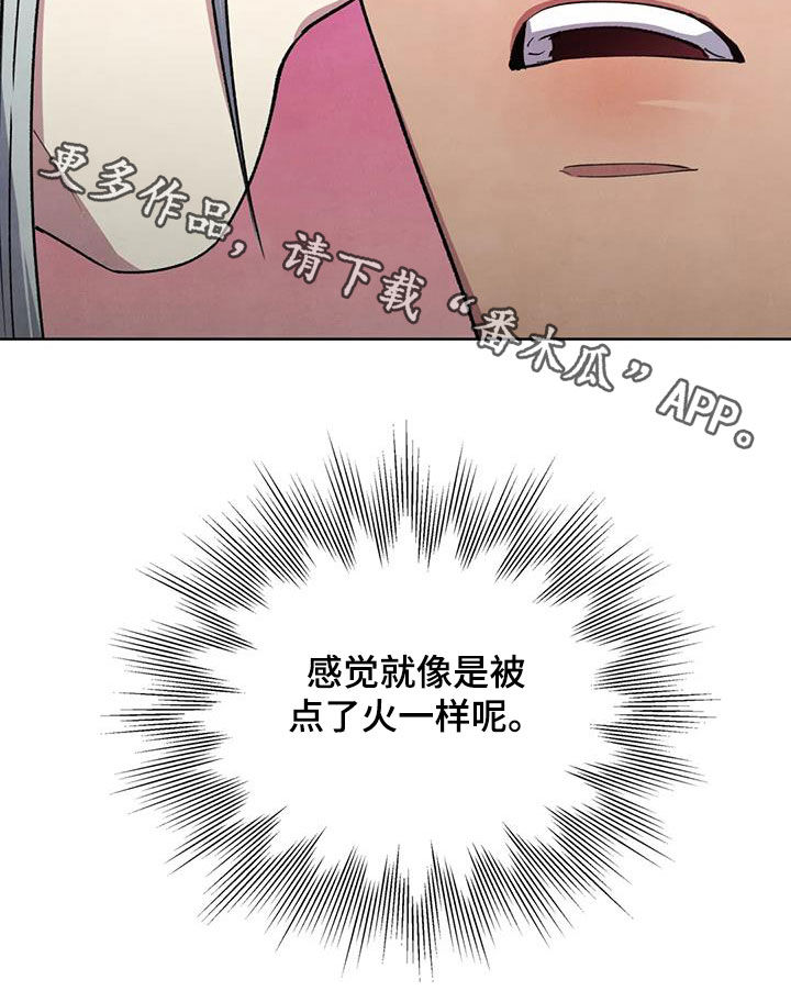 第21章：查看20