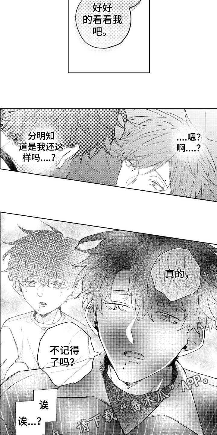 第14章：熟悉12