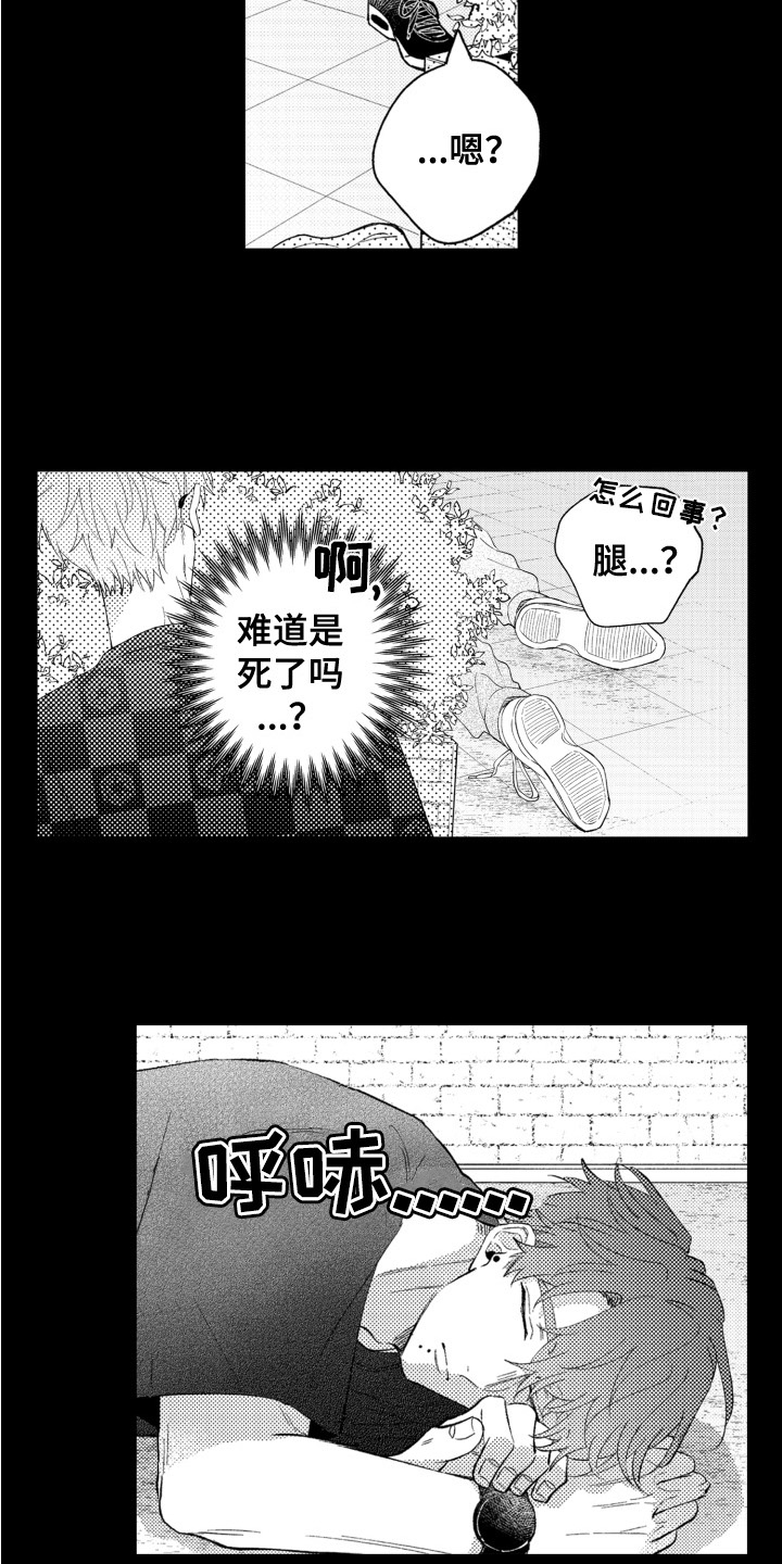 第1章：带回家6