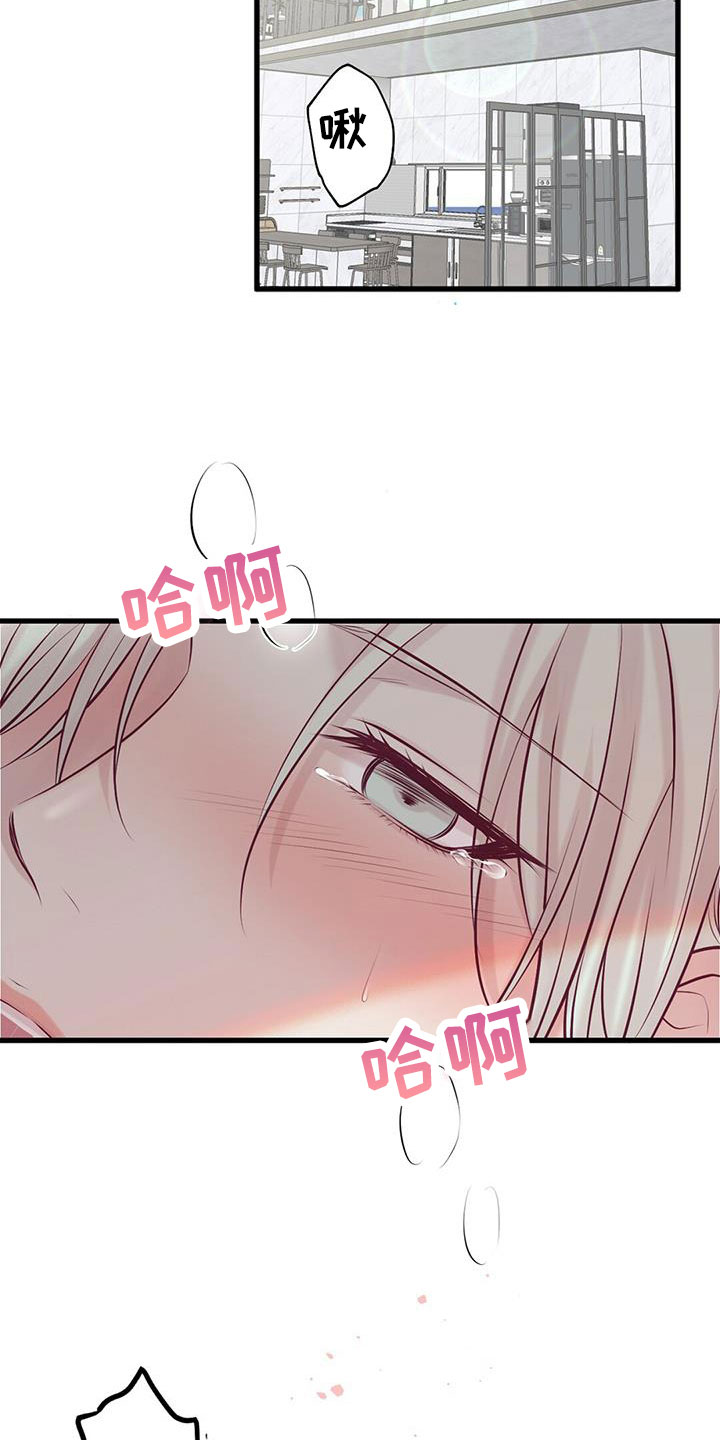 第69章：结婚吧6
