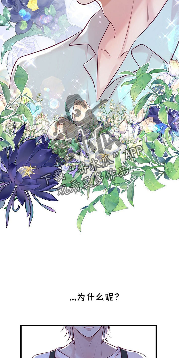 第48章：假面少女13