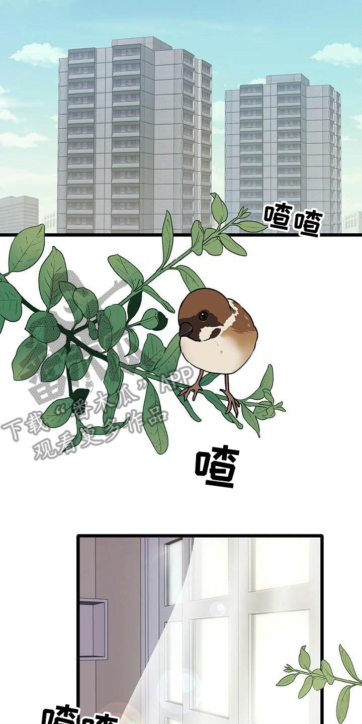 第27章：迎接早晨16