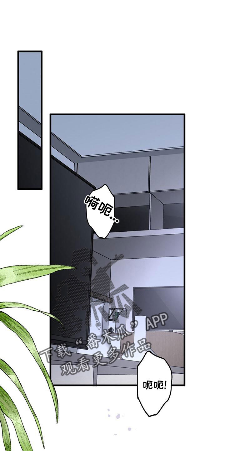 第63章：采访0