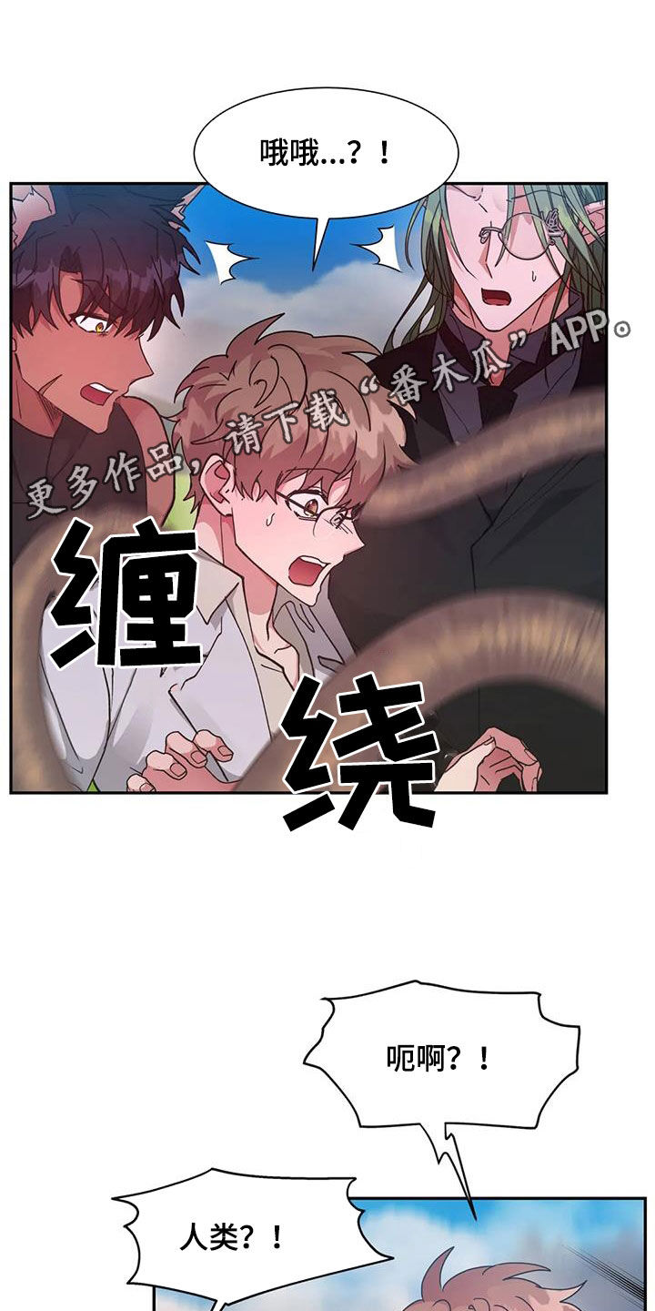 第53章：疯狂生长0