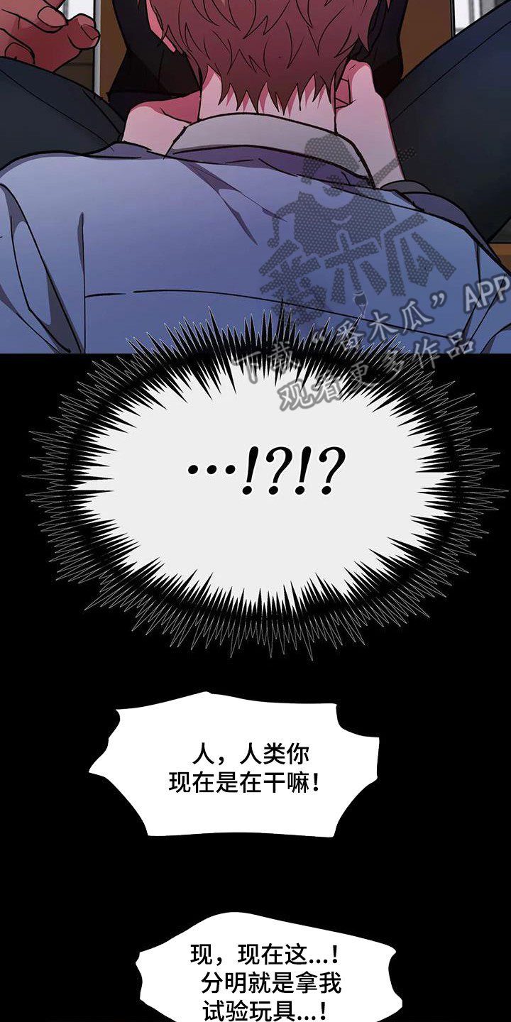 第24章：教育11