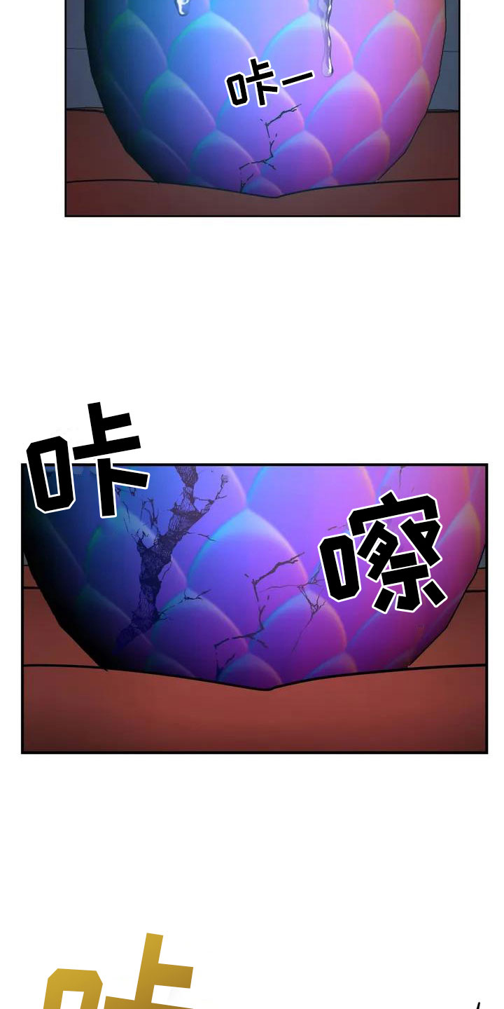 第2章：破壳20