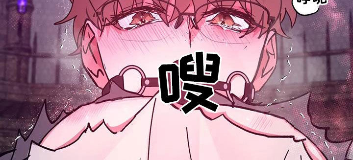 第41章：教育13