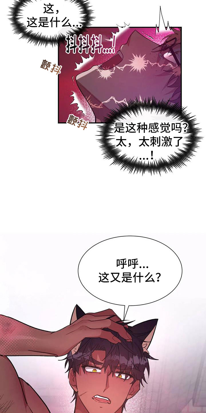 第14章：狼的誓言21