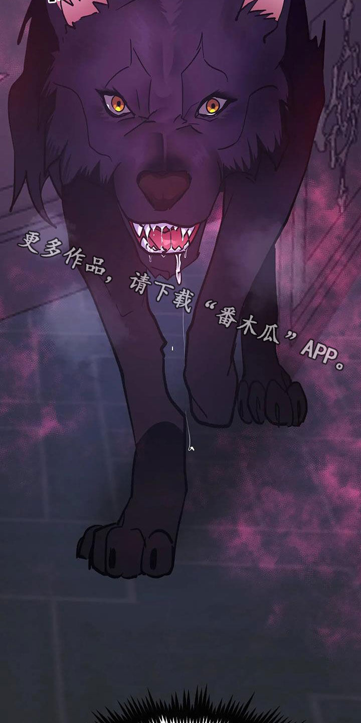 第46章：化狼26