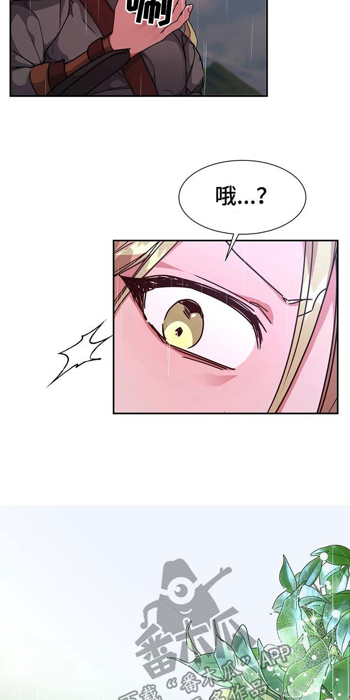 第53章：疯狂生长17
