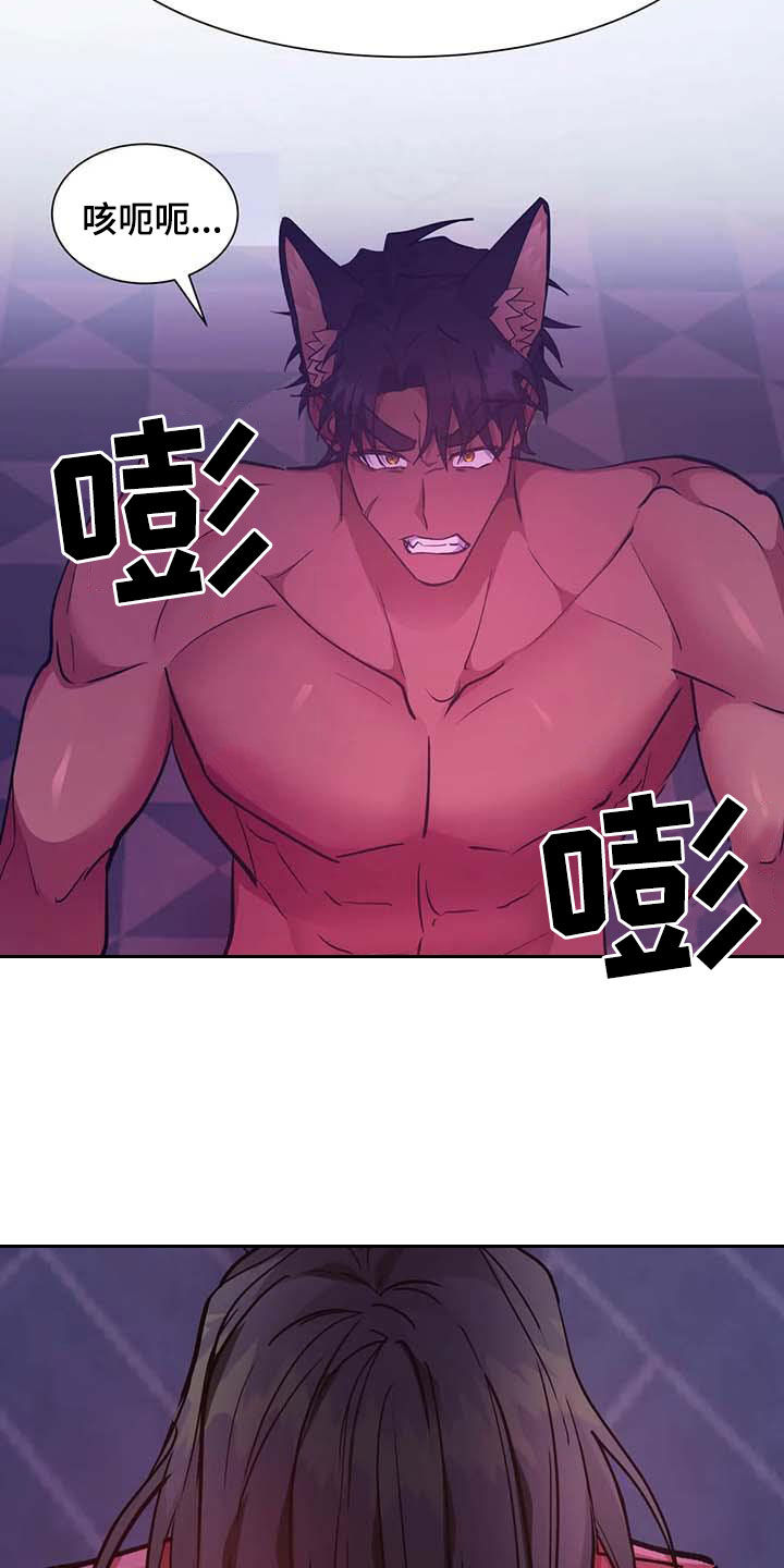第49章：任务17