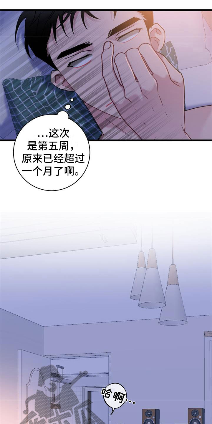 第16章：理解4