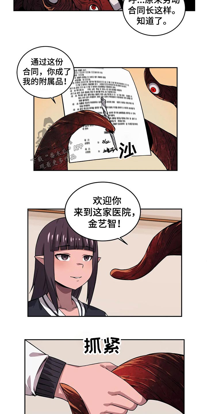 第53章：工作经验5