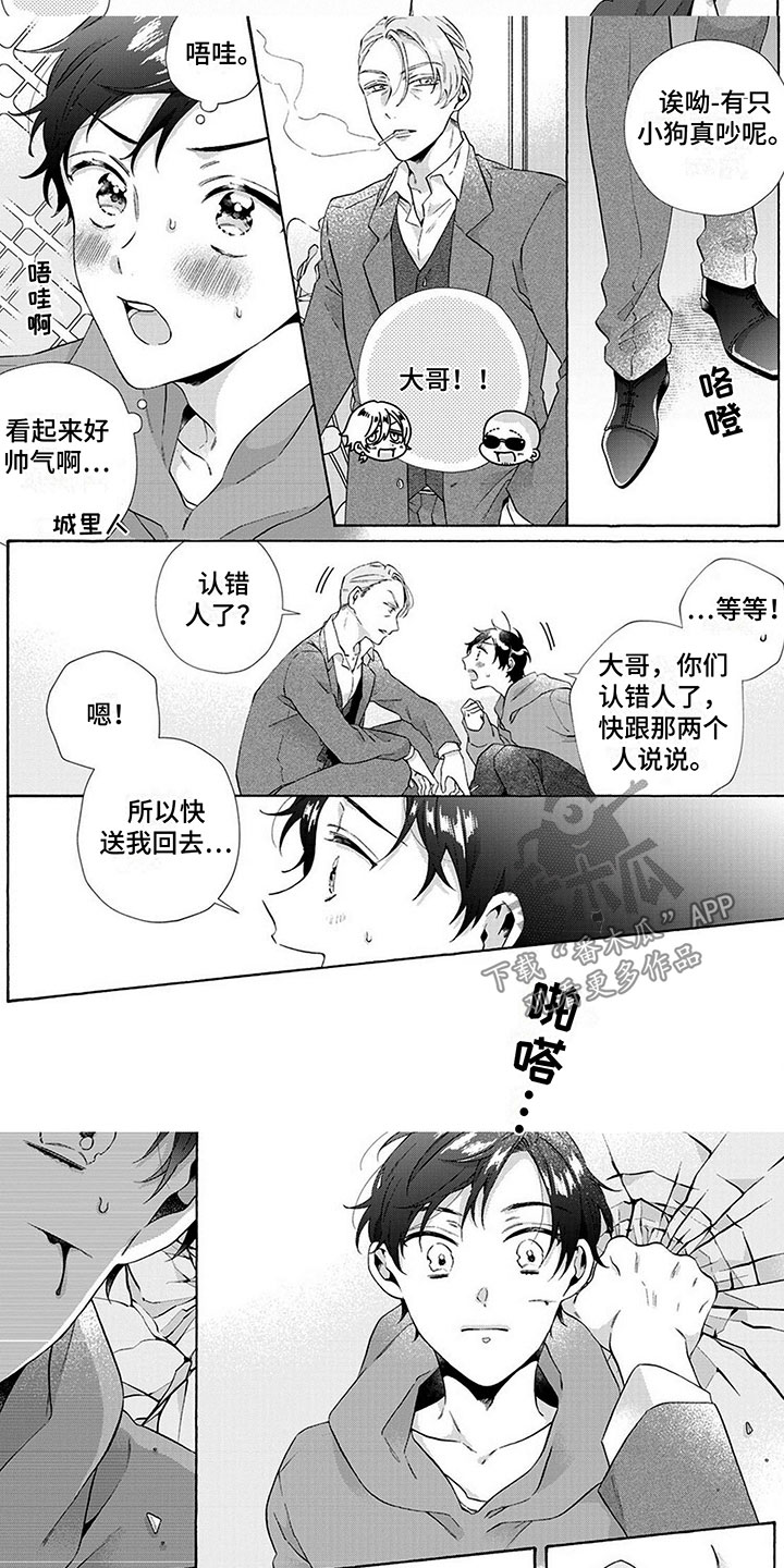 第11章：搞错了5
