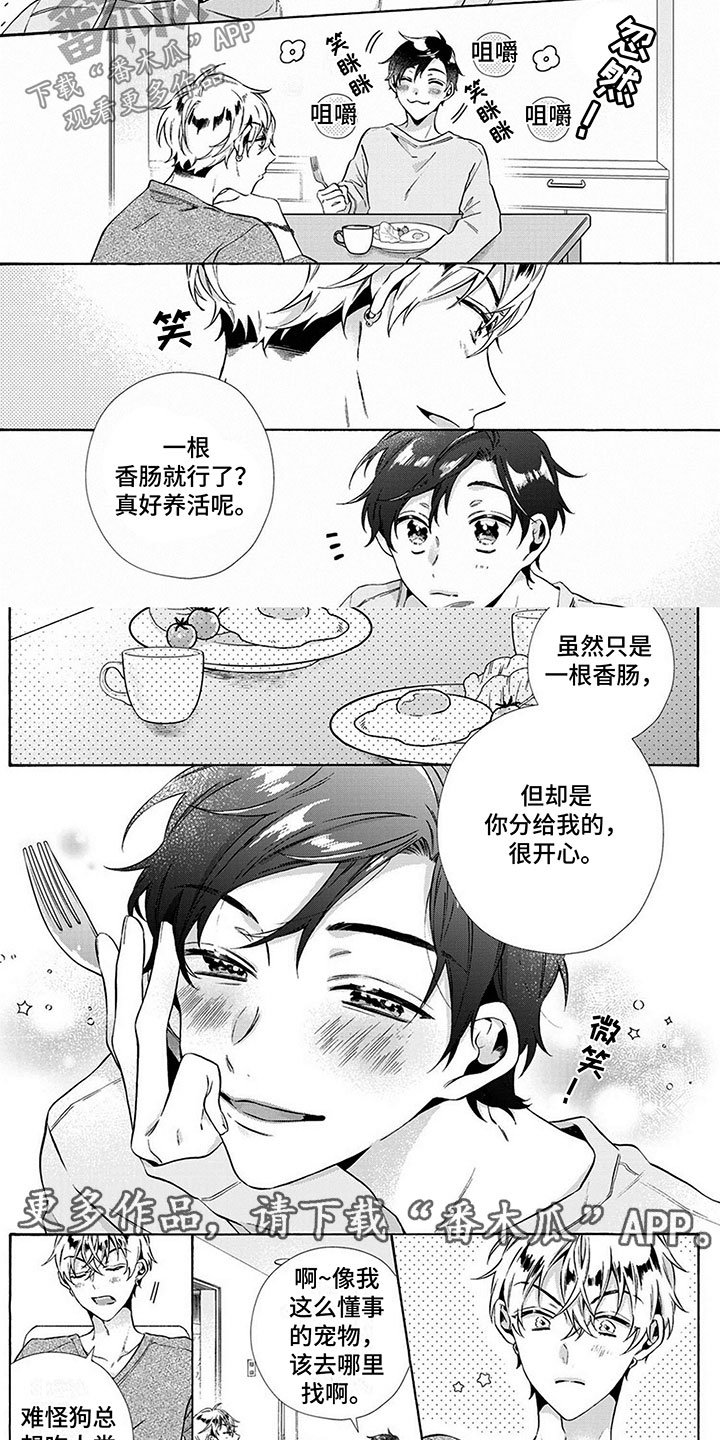 第5章：训练6
