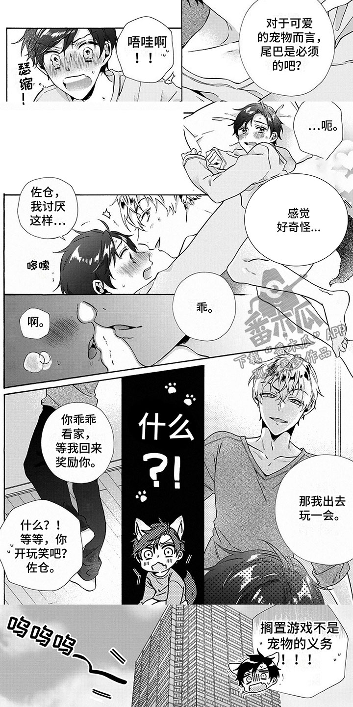 第6章：适应4
