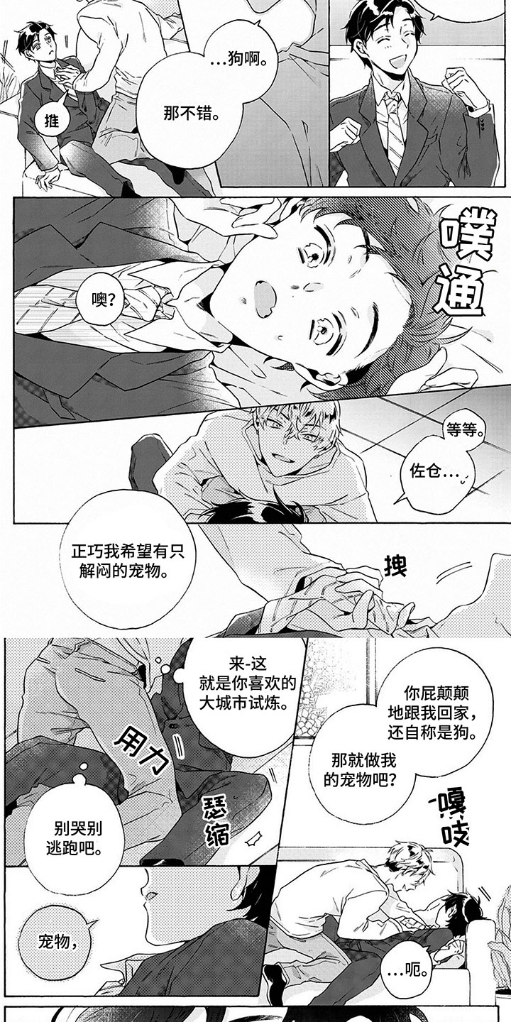 第2章：奇怪的同居2