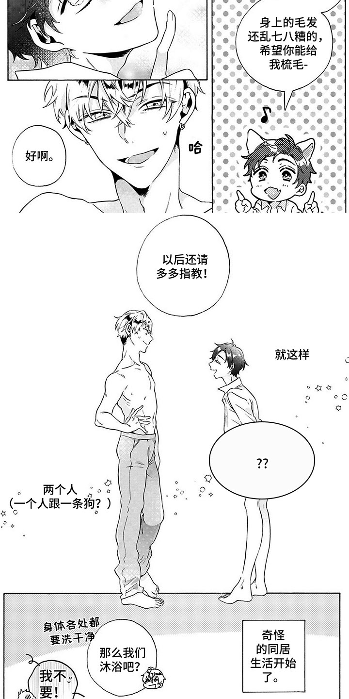 第2章：奇怪的同居6
