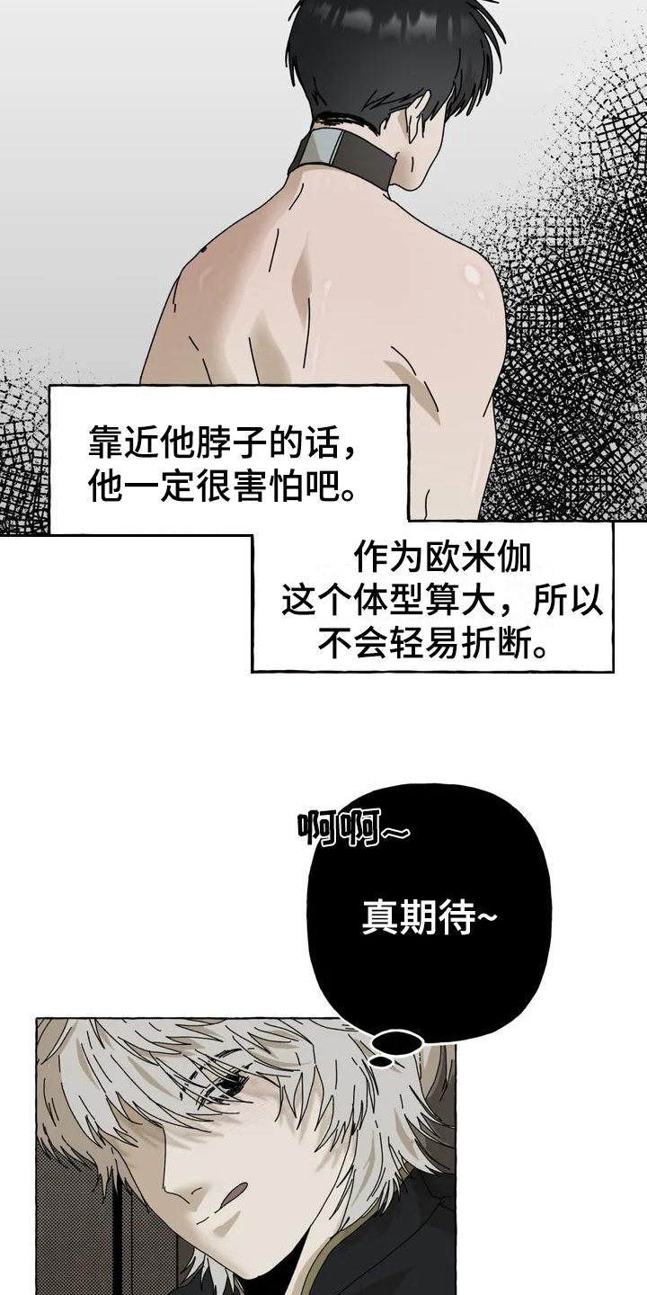 第2章：喜欢14