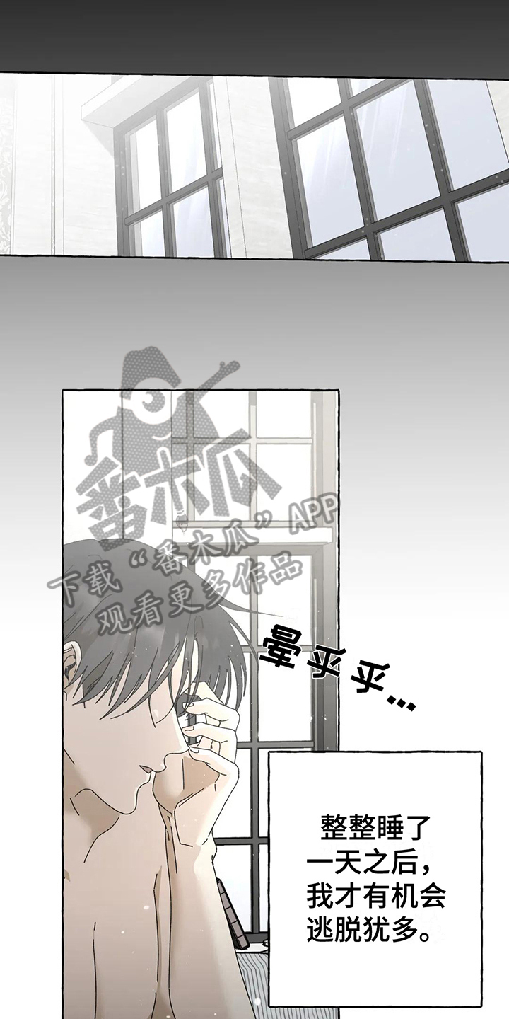 第11章：选择12