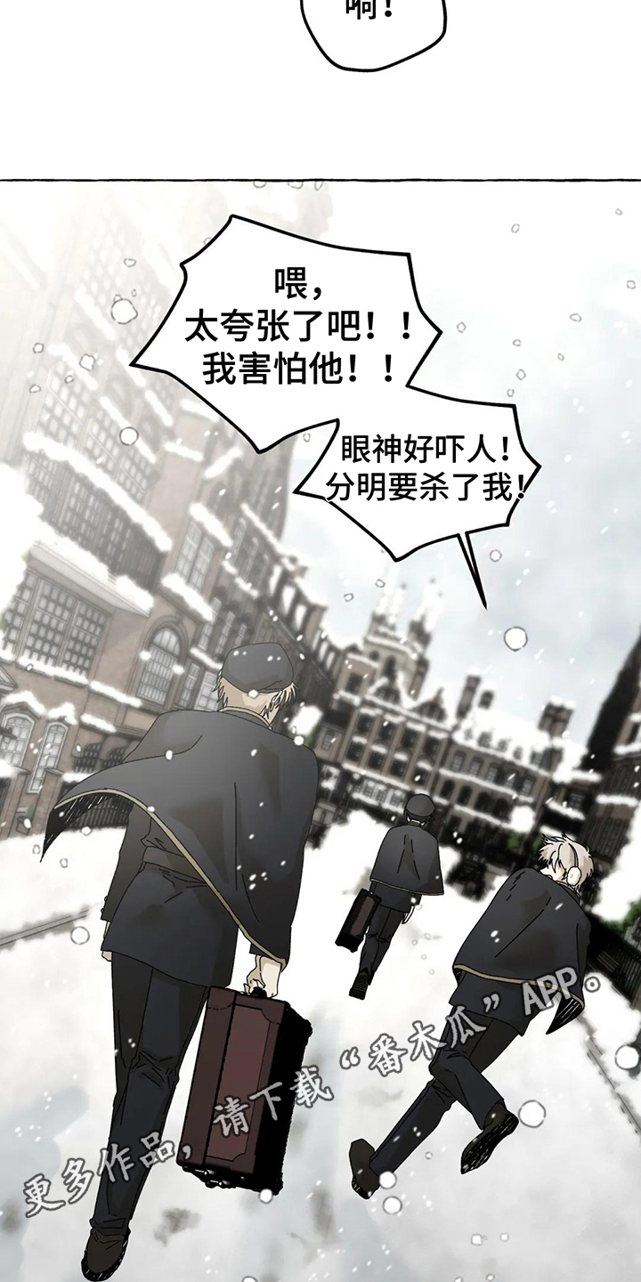 第11章：选择19