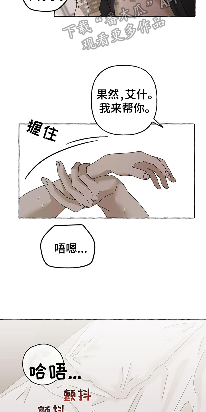 第12章：不会后悔【完结】13