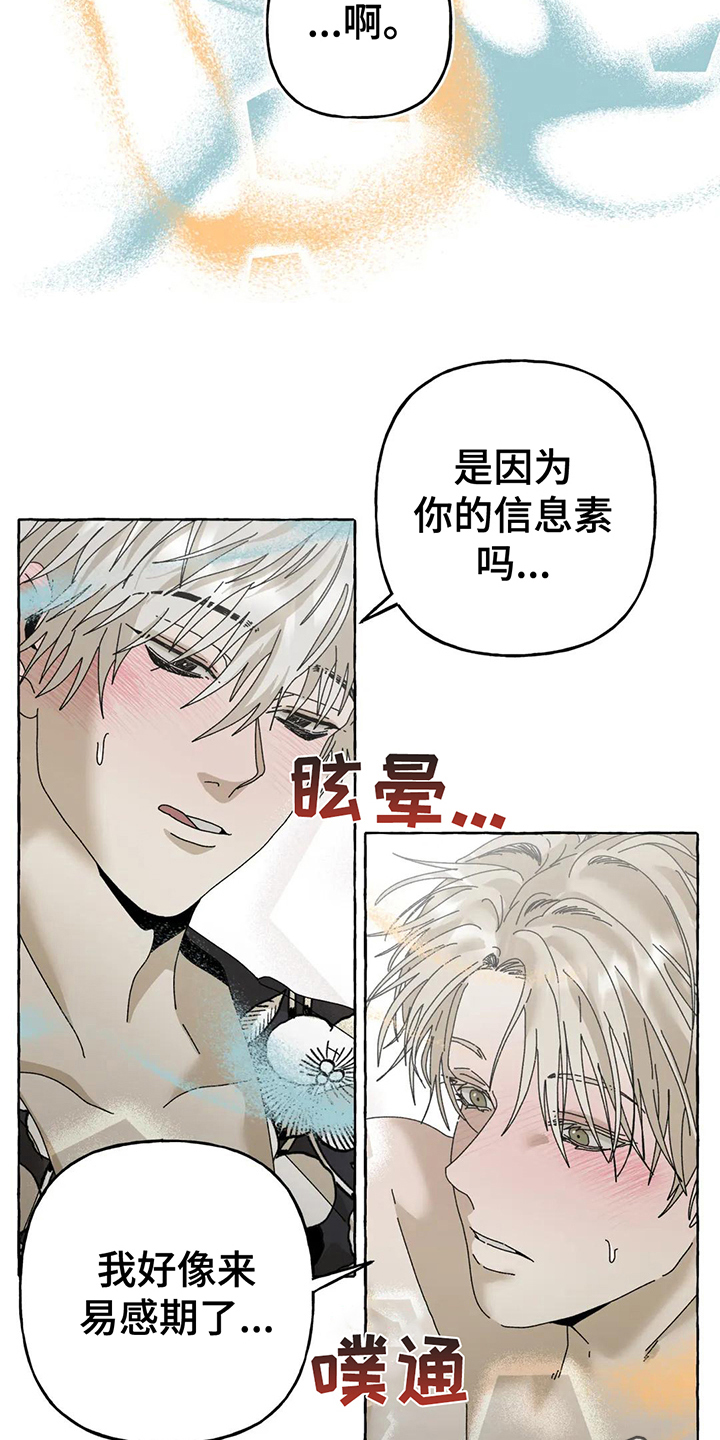 第12章：不会后悔【完结】24