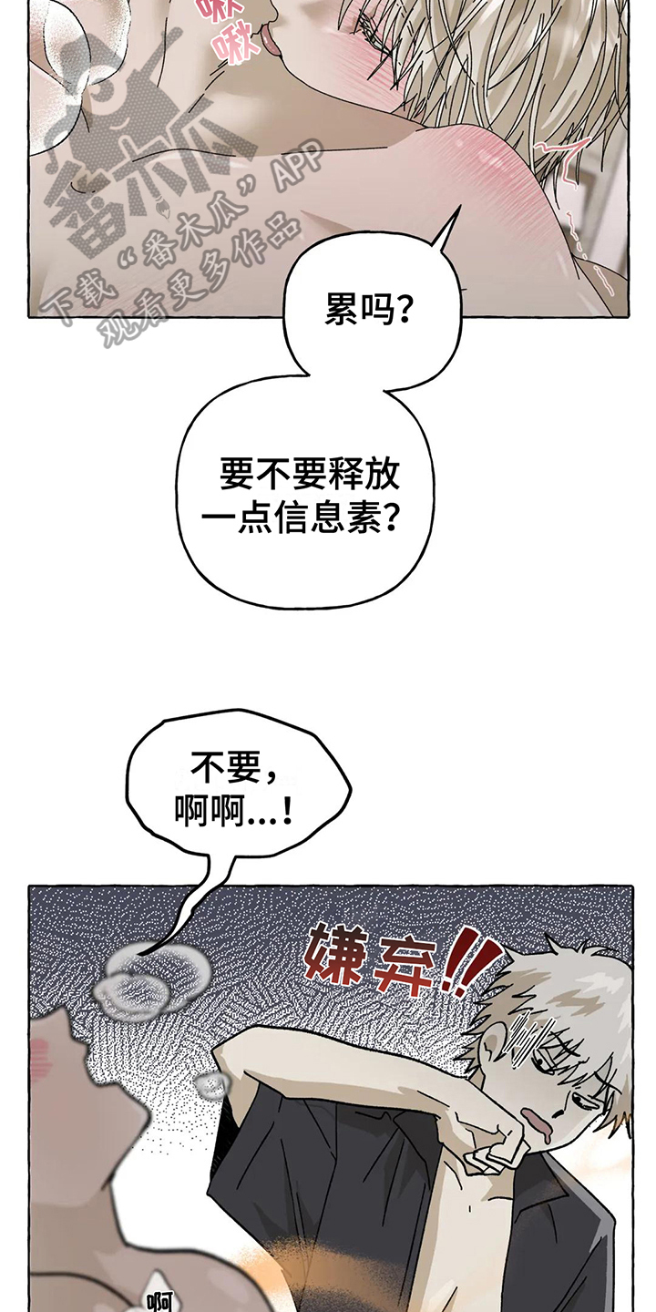 第12章：不会后悔【完结】18