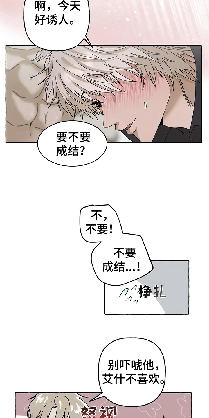 第12章：不会后悔【完结】11