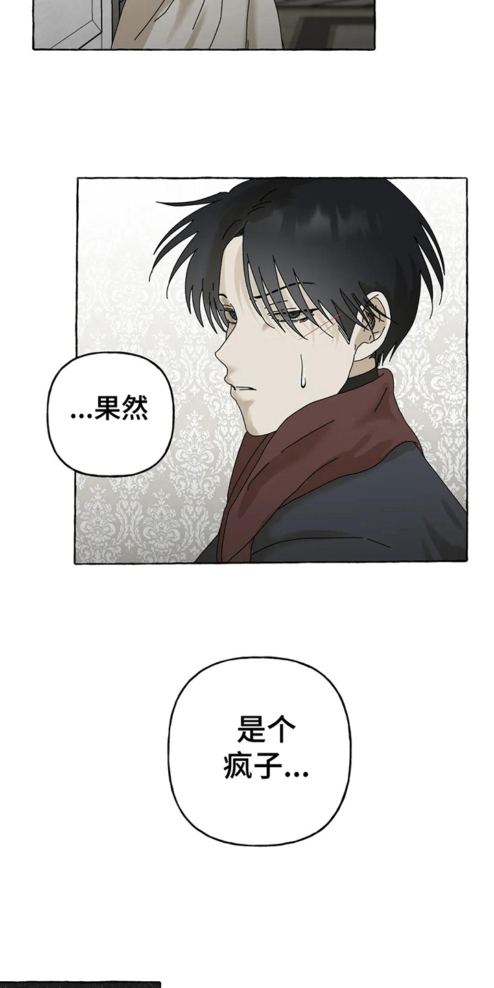 第8章：建议13