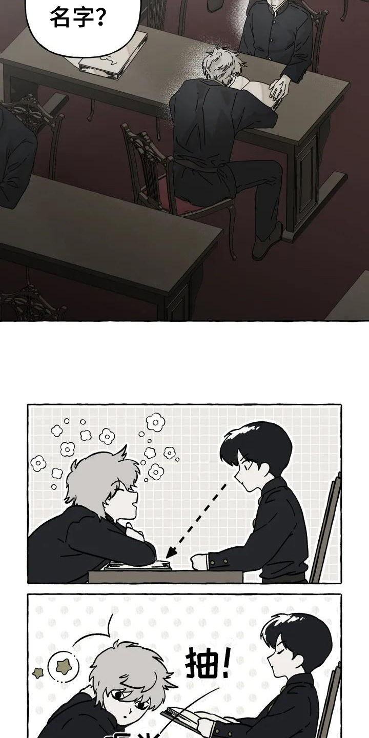 第1章：关注12