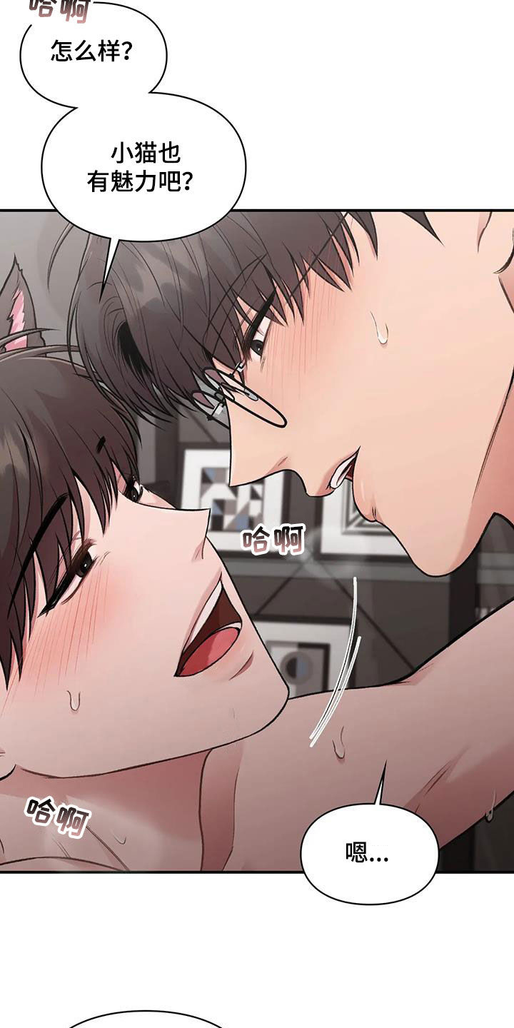第53章：小猫咪19
