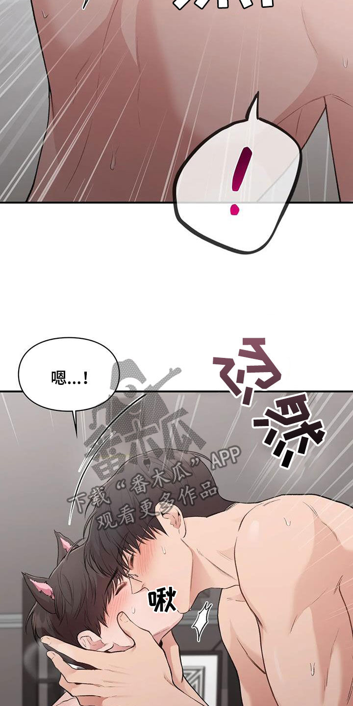第53章：小猫咪14