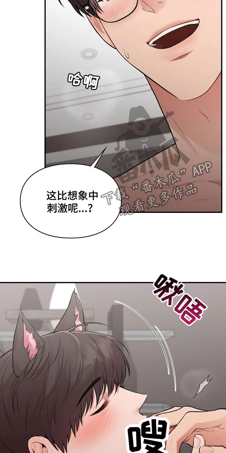 第53章：小猫咪12
