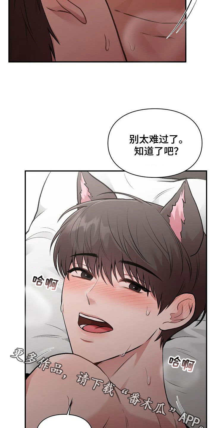 第55章：网开一面22