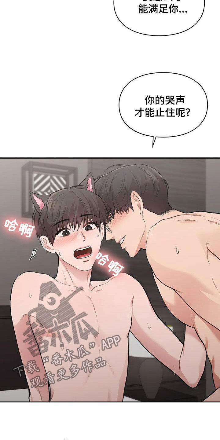第53章：小猫咪22
