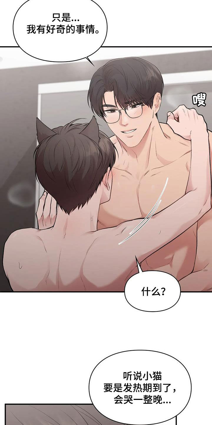 第53章：小猫咪20